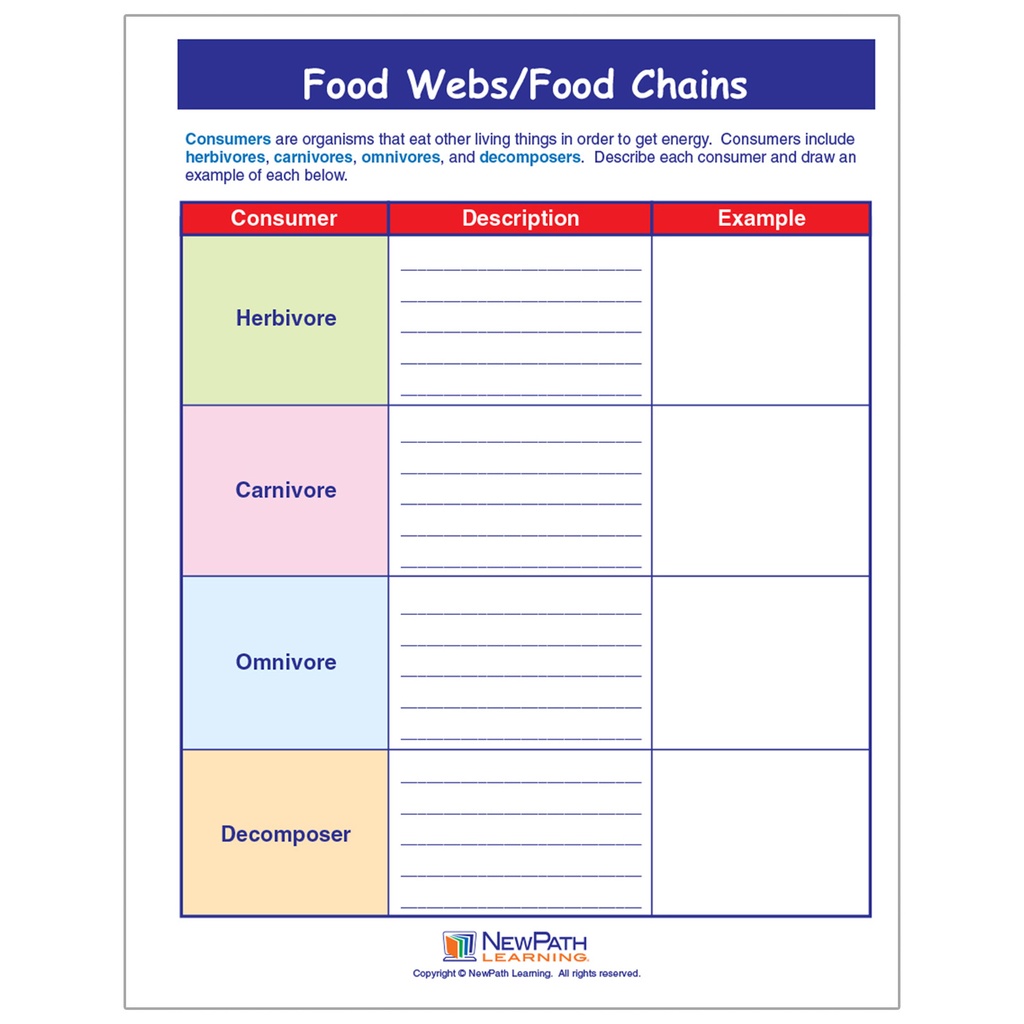 Food Chains & Food Webs Learning Center_3