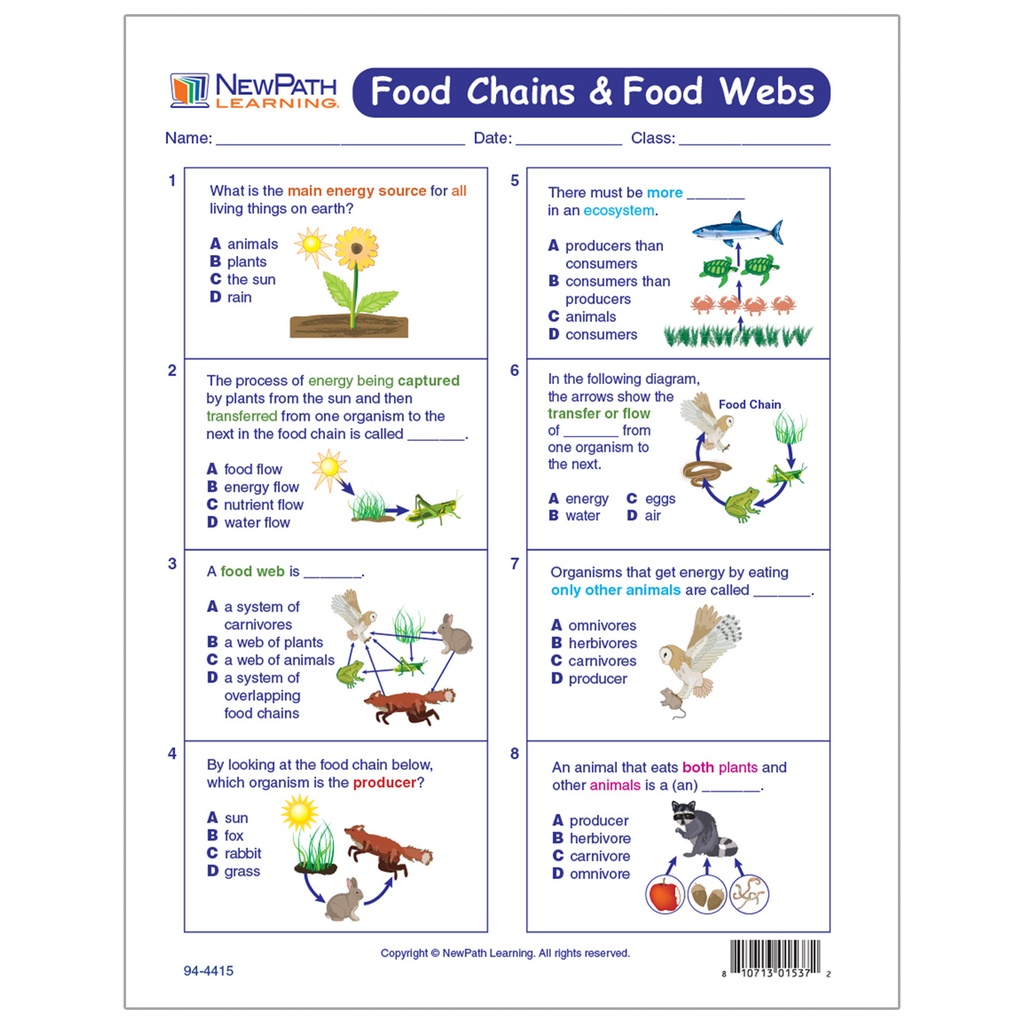 Food Chains & Food Webs Learning Center_4