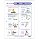 Food Chains & Food Webs Learning Center_4