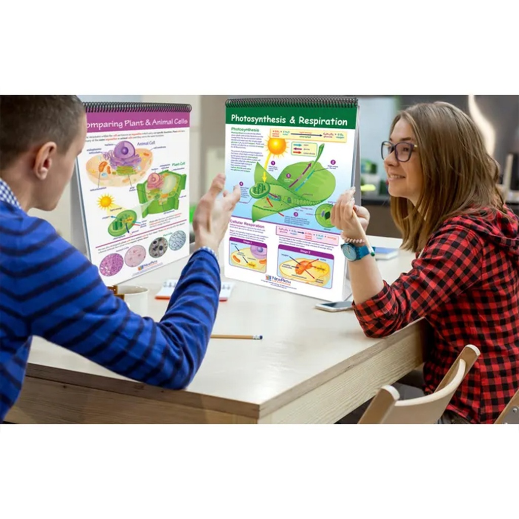 Science Skills Curriculum Mastery® Flip Chart Grade 6_6