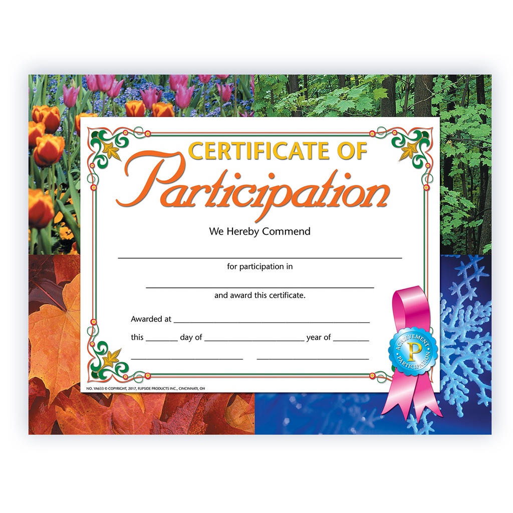Certificate of Participation Pack of 30_1