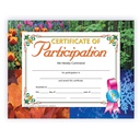 Certificate of Participation Pack of 30_1