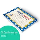 Merit Award Certificates Pack of 30_3