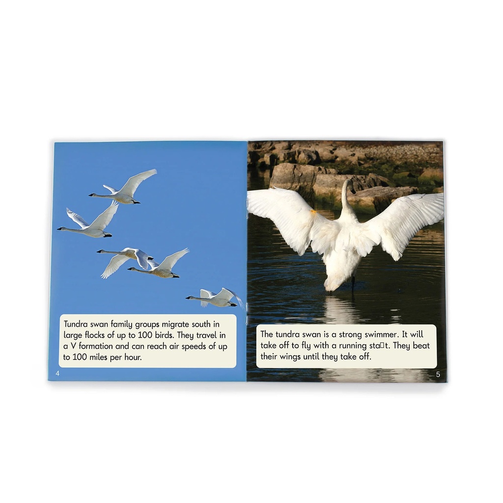 Fix Its Decodable Readers Suffixes Non-Fiction Phase 6 Set of 12_1