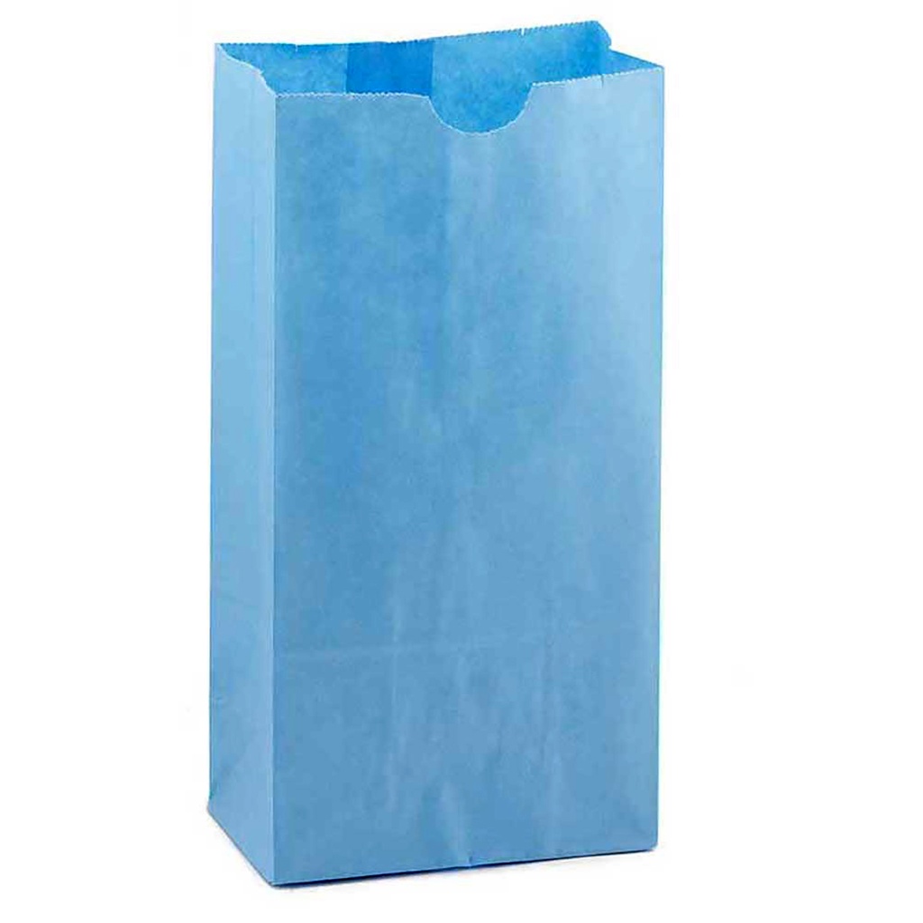 Blue #6 Gusseted Paper Bags Pack of 50_1