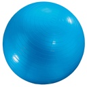 Blue 24" Exercise Ball_1