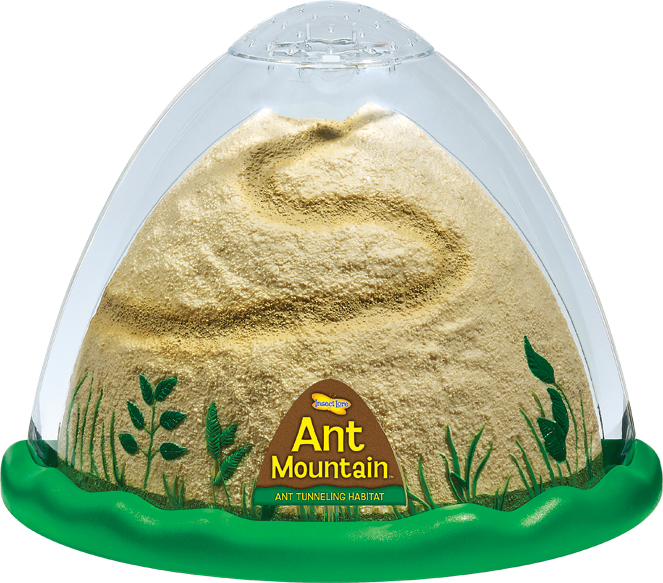 Ant Mountain Nature Habitat