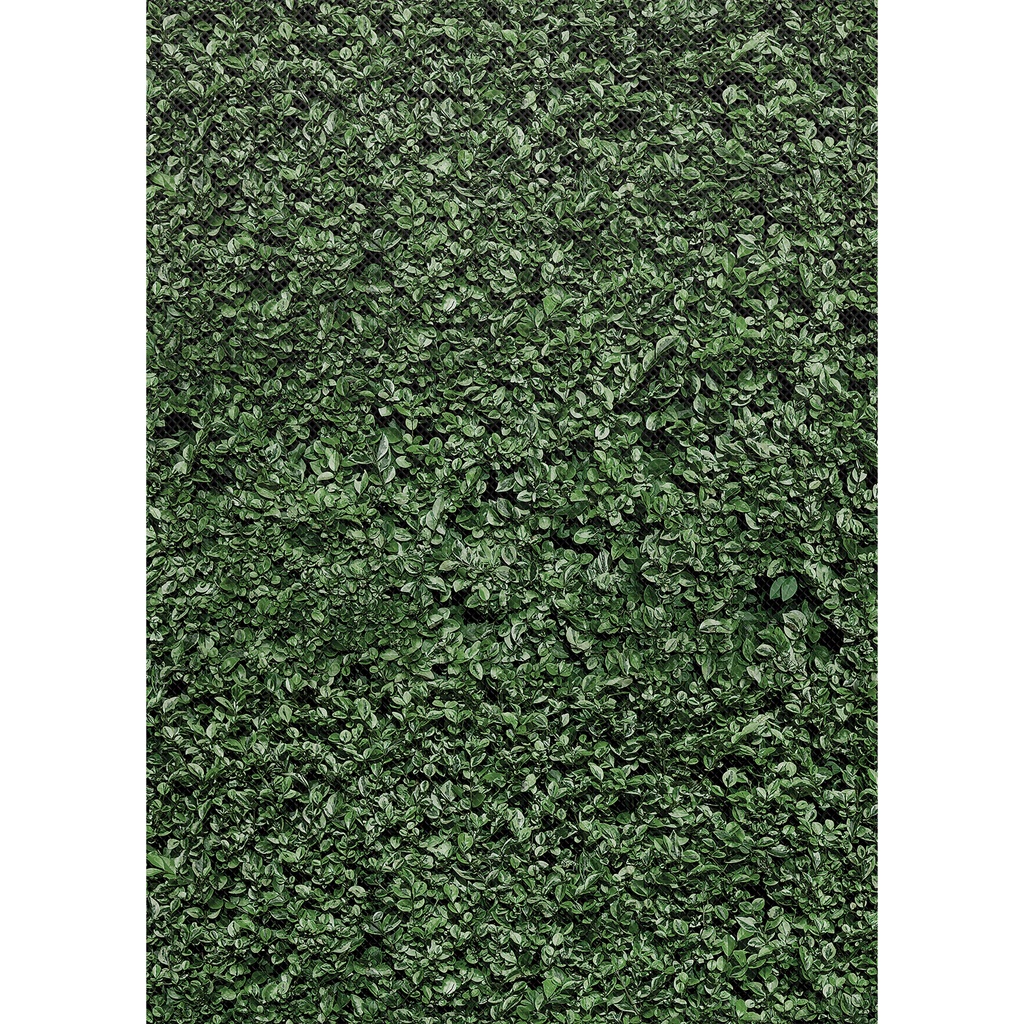 Better Than Paper® Boxwood Design Bulletin Board Roll Pack of 4
