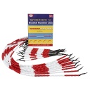 Didax® Beaded Number Lines Group Set 