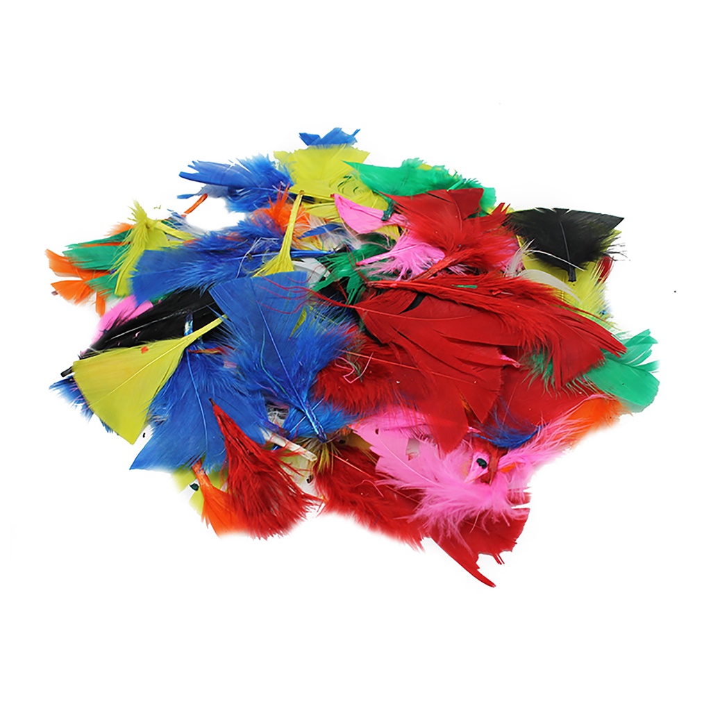 Charles Leonard® Turkey Feathers — Bright Colors, 14 g Bag