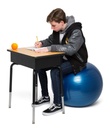 55cm Non-Rolling Blue Balance Ball Chair