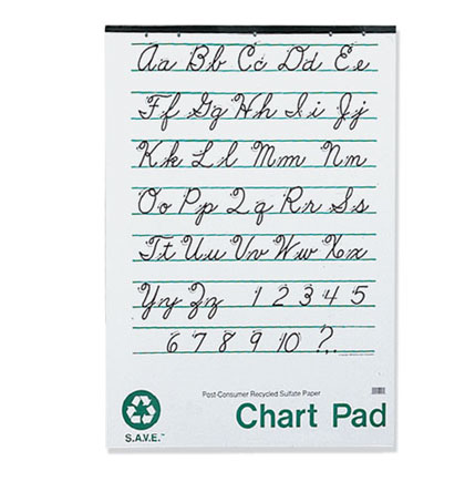 24x32 1 inch Ruled SAVE Chart Pad