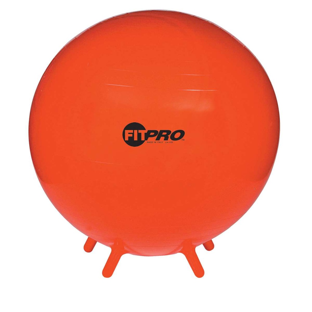FitPro 75cm Ball with Stability Legs