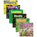 6ct Plant Parts Books