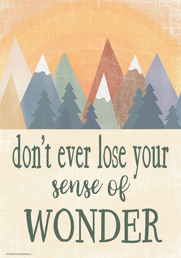 Don't Ever lose Your Sense of Wonder Positive Poster