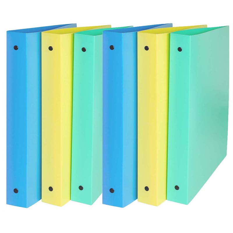 Charles Leonard® 3-Ring Binder, 1" capacity, Assorted Colors, Pack of 6