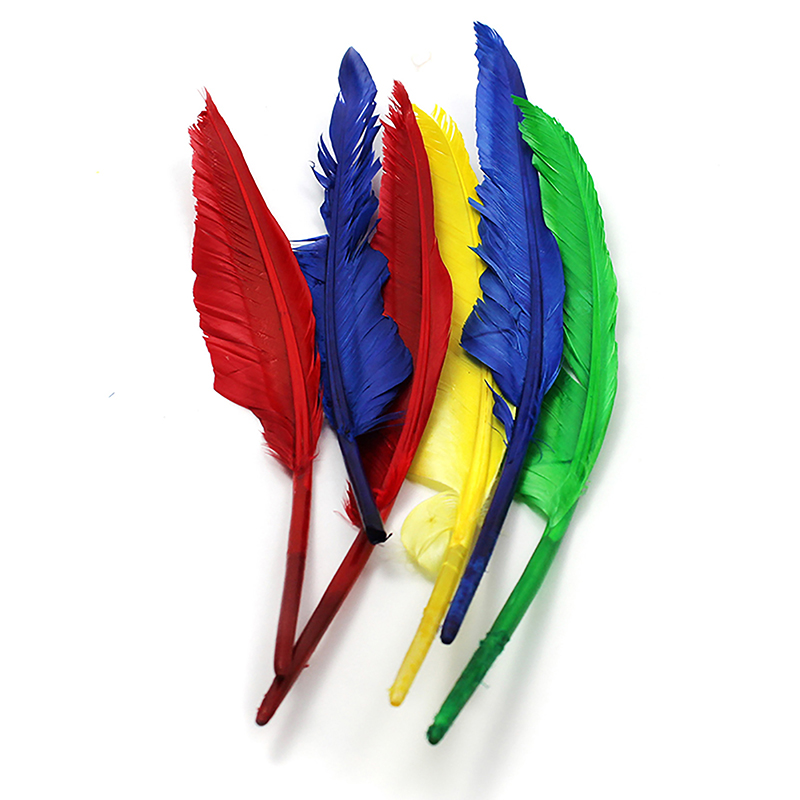 Quill Feathers, 10" & 12", 6 Per Pack, 12 Packs