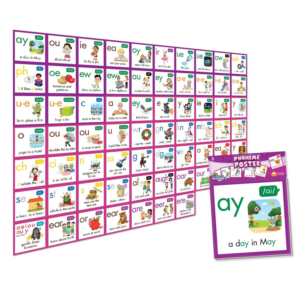 Junior Learning® Rainbow Phonics Phoneme Poster — Border‑style wall display of alternative sounds (Phases 5–5.5)