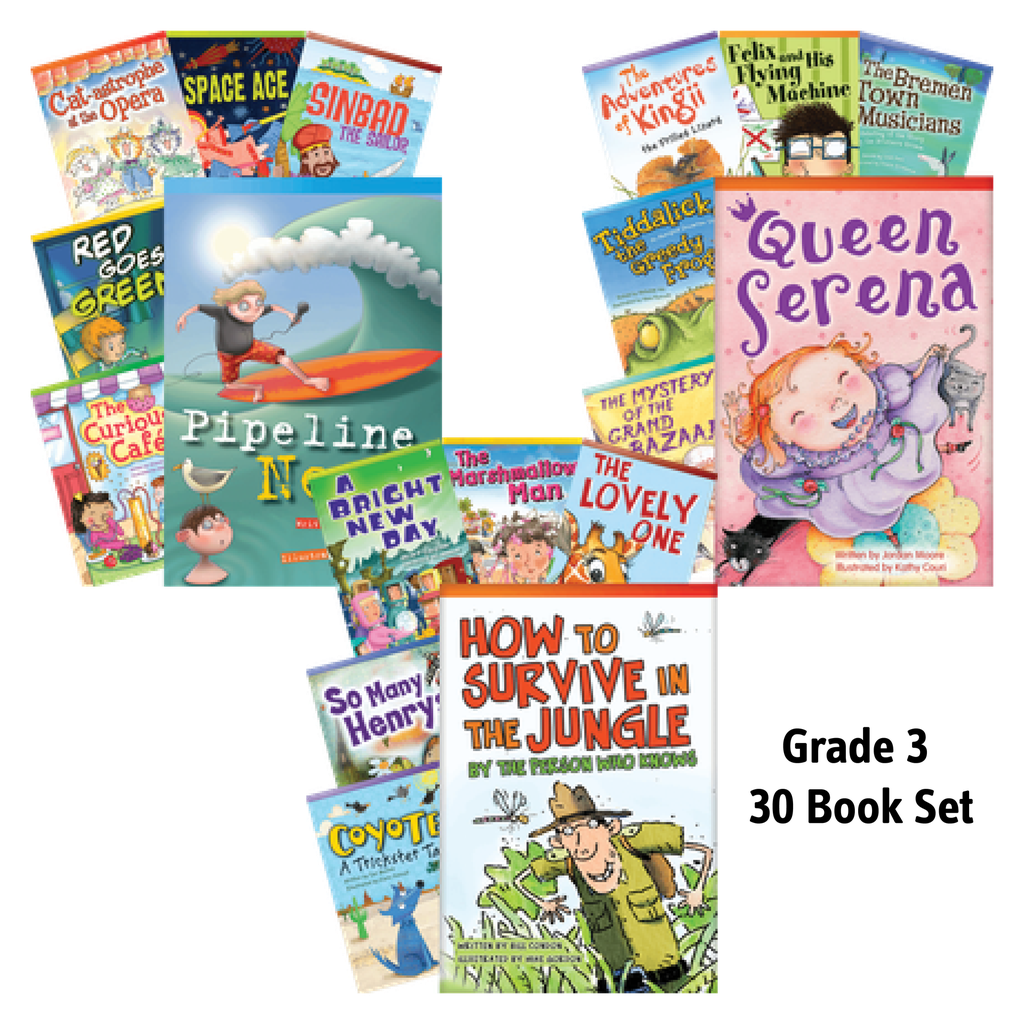 Literary Text Grade 3 Readers Set 1, 2 & 3 Book Set