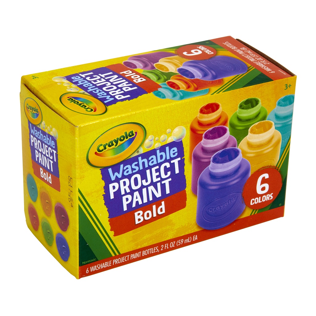 Bold Washable Project Paint 6 Colors