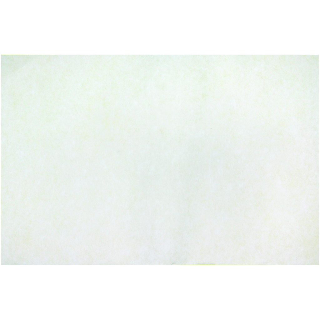 12" x 18" Color Diffusing Paper 50 Sheets