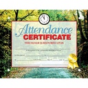 Attendance Certificates Pack of 30