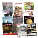 Fix Its Decodable Readers Suffixes Non-Fiction Phase 6 Set of 12