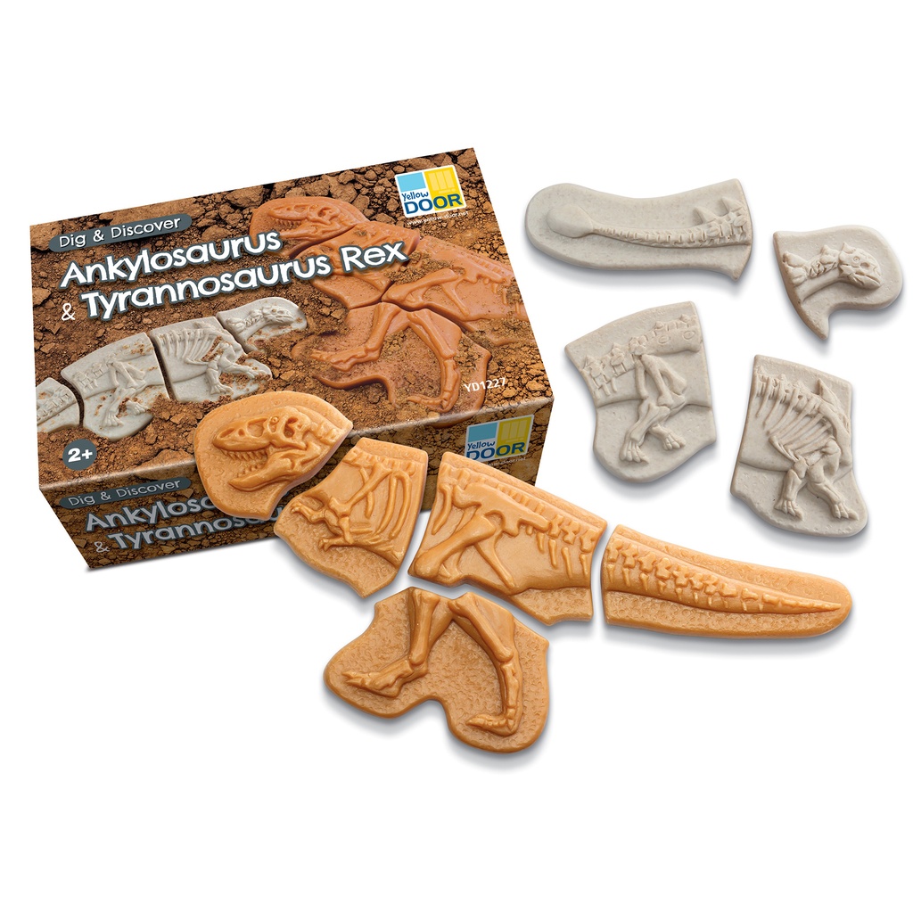 Ankylosaurus & Tyrannosaurus Rex Dig and Discover
