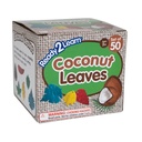 Coconut Leaves