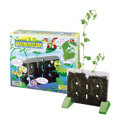 [5101 EI] Educational Insights® Sprout & Grow™ Window — Transparent Planter for Root Observation
