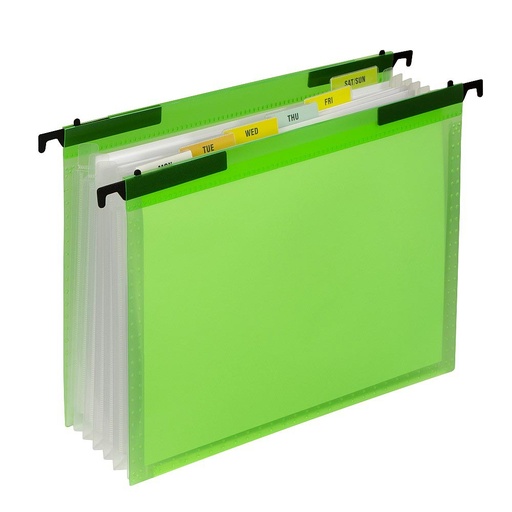 [58203 CL] Expanding File Folder with Hanging Tabs