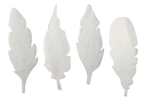 [24916 R] Color Diffusing Paper Feathers