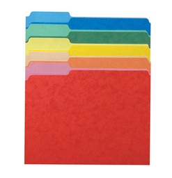 [15213ASST ESS] 100ct Third Cut Assorted Color File Folders Box