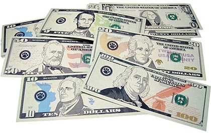 [20638 TCR] Teacher Created Resources® Play Money: Assorted Bills,5 1/4" x 2 1/4" bills, 110 bills 