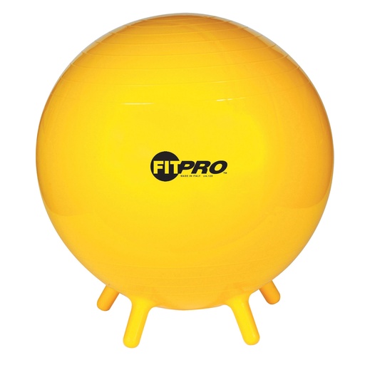 [BL65 CHS] FitPro 65cm Ball with Stability Legs