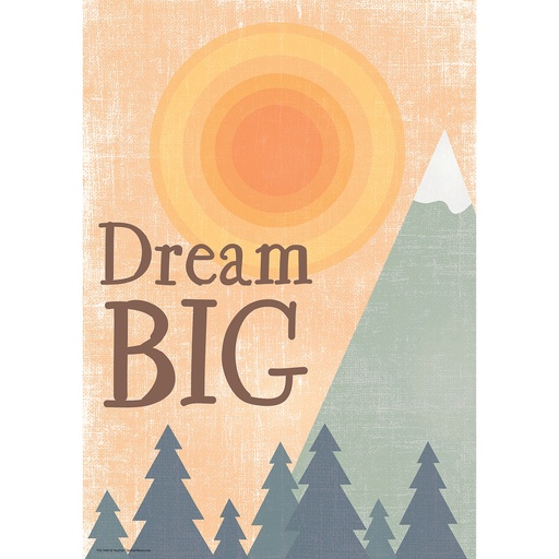 [7460 TCR] Dream Big Positive Poster