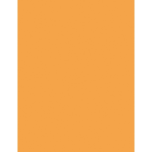[102218 PAC] 500ct 8.5x11 Hyper Orange Multi Purpose Paper