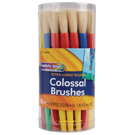 [AC5160 PAC] Plastic Handle Colossal Brush Classroom Pack 30 Brushes