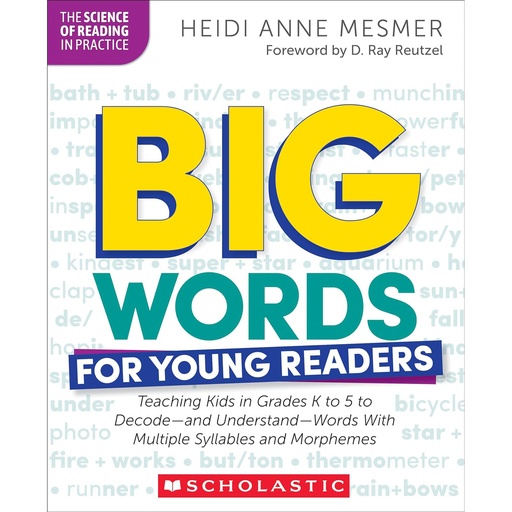 [9781546113867 SC] Big Words for Young Readers Professional Book