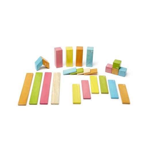 [24PTNT306T TEG] Tints Magnetic Wooden Blocks 24-Piece Set