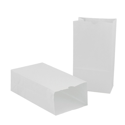 [66101 HG] Hygloss® Large Gusseted Paper Bags — White #6, 100‑pack classroom craft bags