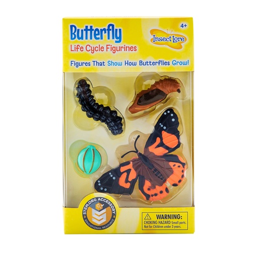 [4760 ILP] Butterfly Life Cycle Stages
