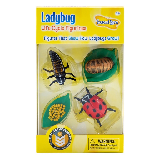 [6090 ILP] Ladybug Life Cycle Stages