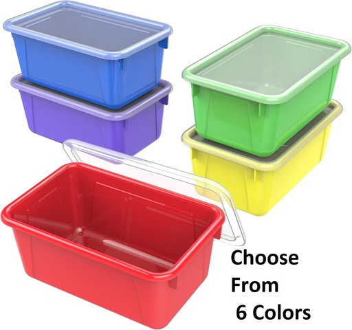 [VARIANT209] Small Classroom Cubby Bin with Cover