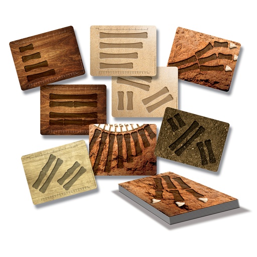 [1034 YD] Dinosaur Bones Match and Measure Activity Cards