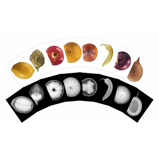 [59261 R] Plant X-Rays & Picture Cards